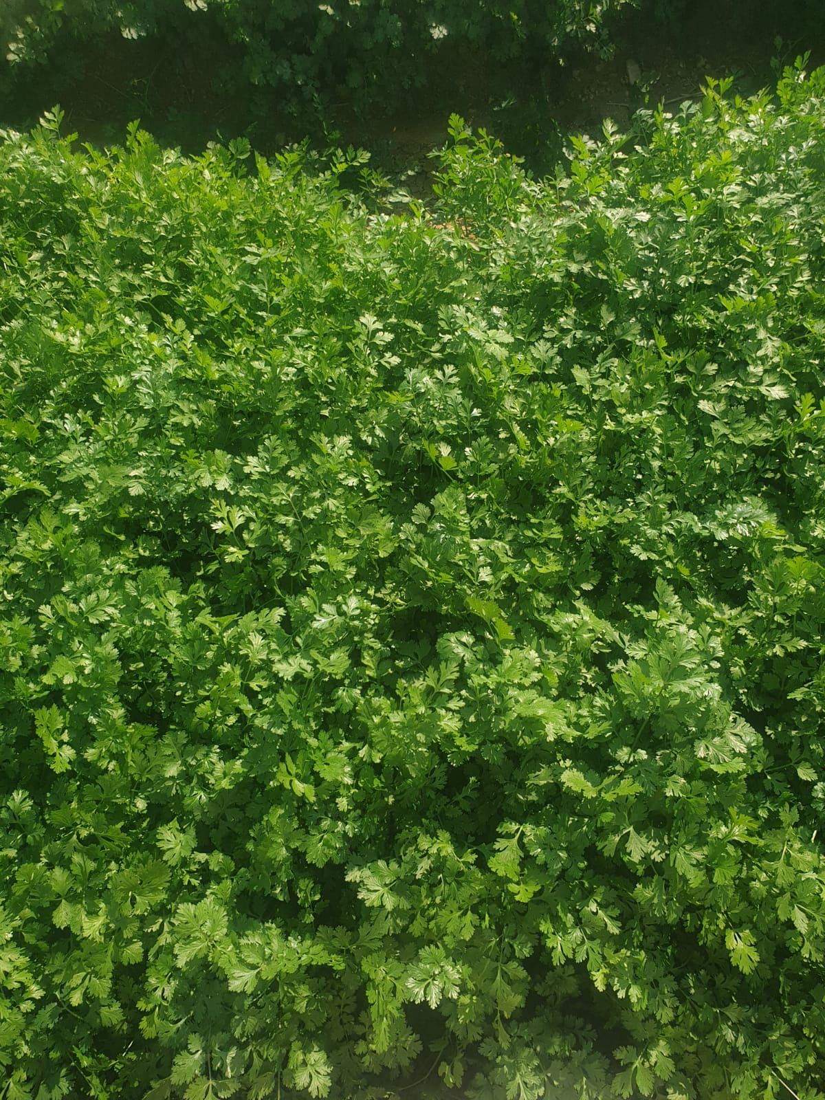 showing our real work